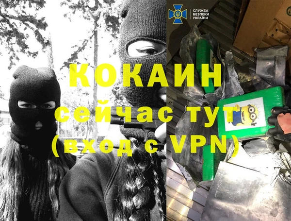 спайс Арсеньев