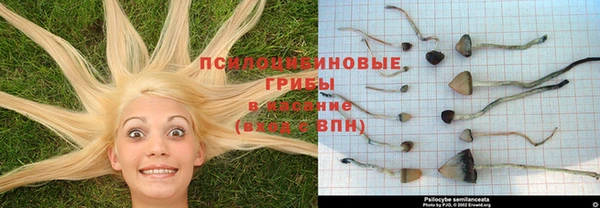 mix Аркадак