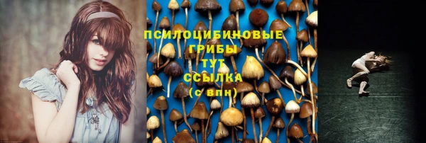 спайс Арсеньев