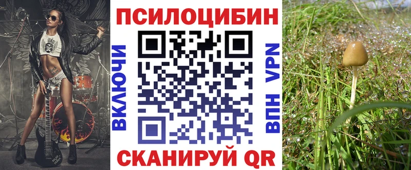 где купить наркотик  Междуреченск  Псилоцибиновые грибы MAGIC MUSHROOMS 