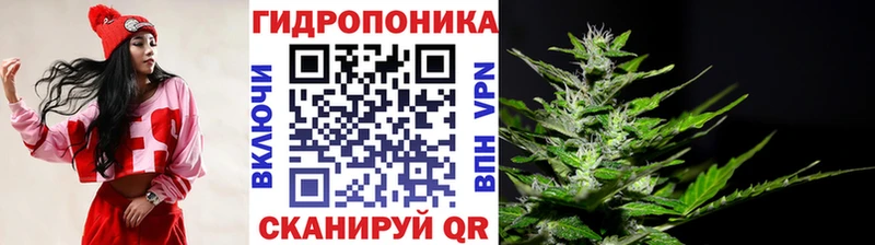 Канабис план Междуреченск
